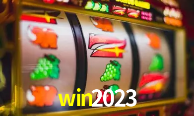 Interface Premium win2023